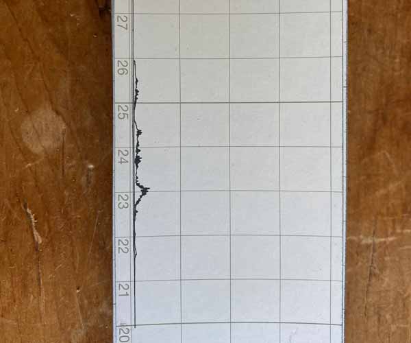 timber-surveys-5